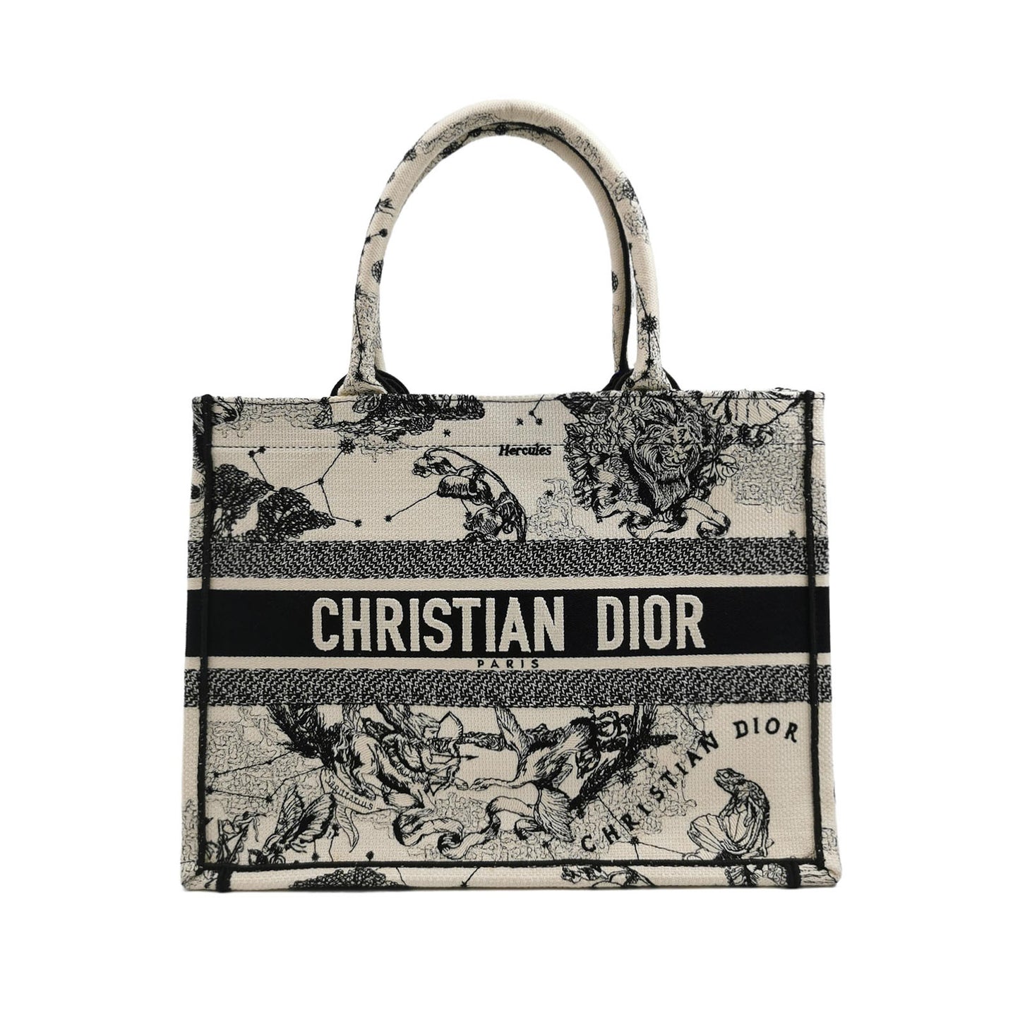 DIOR BOOK TOTE