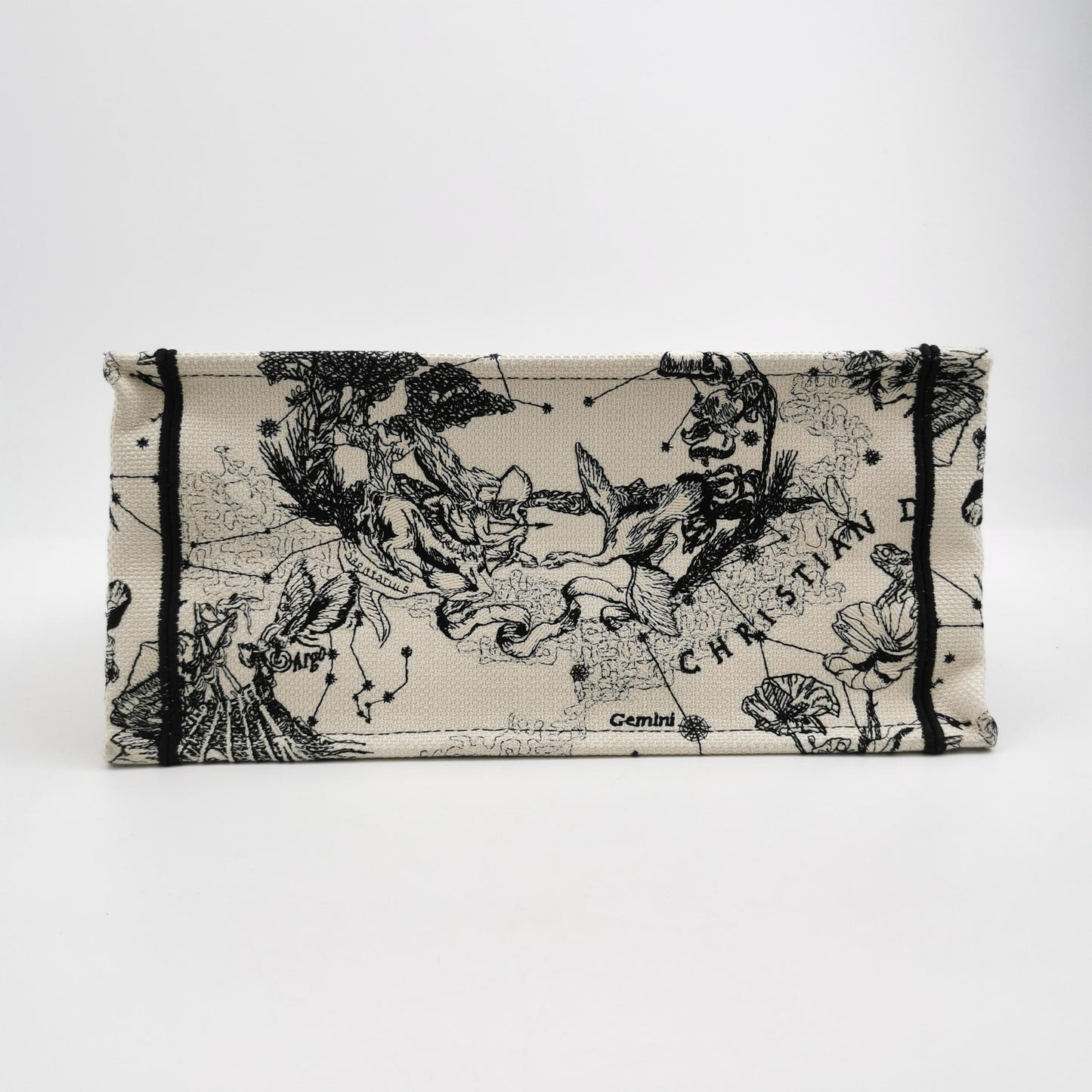 DIOR BOOK TOTE
